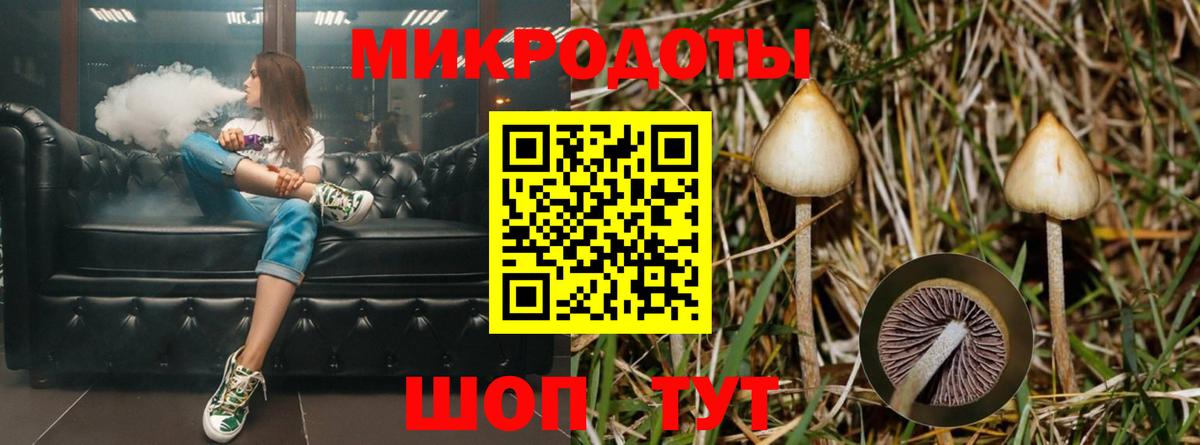 Псилоцибиновые грибы ЛСД  Псилоцибиновые грибы Psilocybe  Старая Купавна  Вход с VPN 